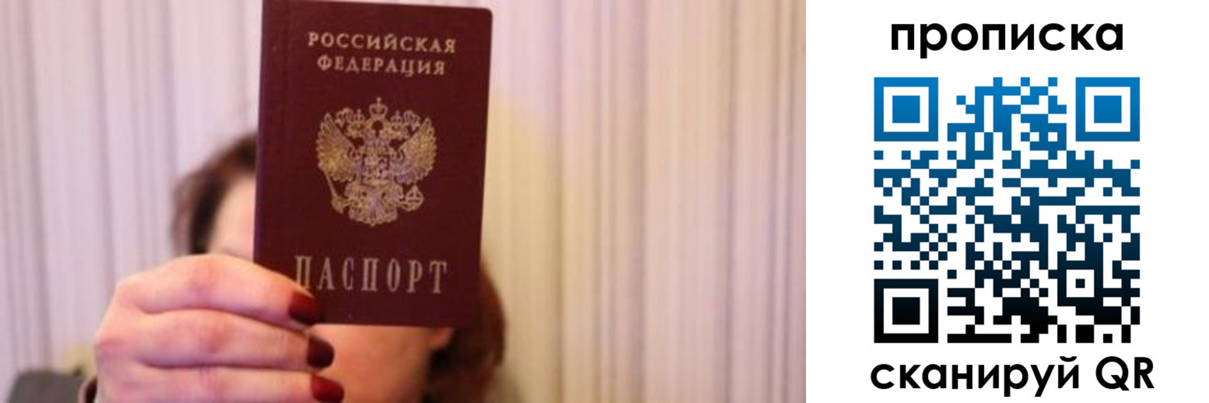прописка поиск в Амурской области