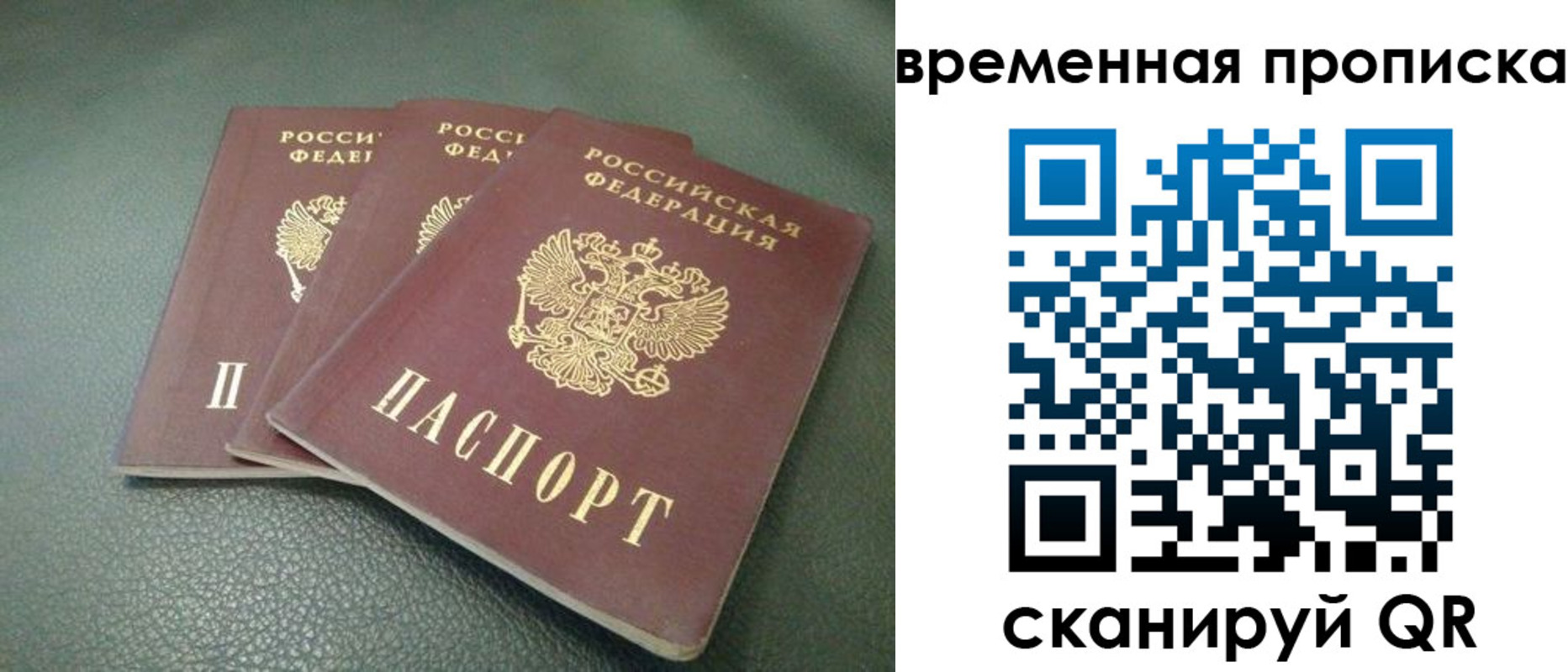 прописка гарантия в Амурской области